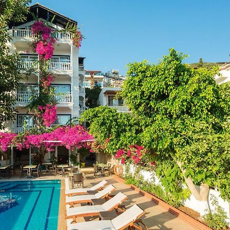 Hotel Koza คาช ภายนอก รูปภาพ
